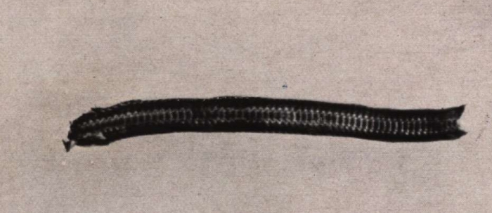 Gilson (1914, fig. 069)