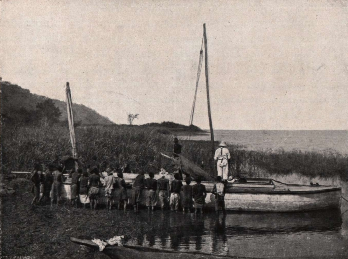 Gilson (1914, fig. 081)