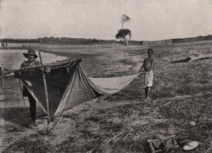 Gilson (1914, fig. 082)