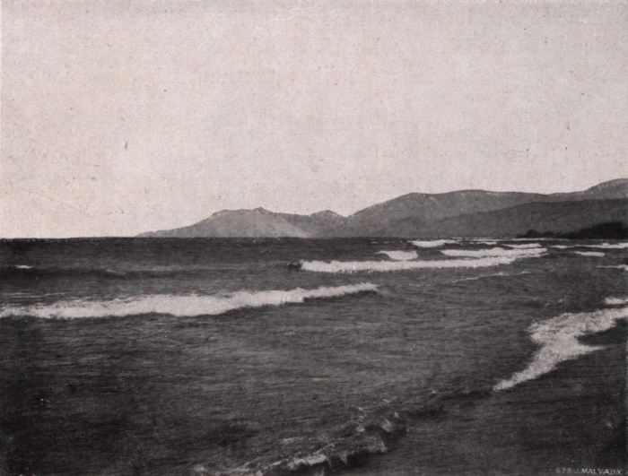 Gilson (1914, fig. 085)