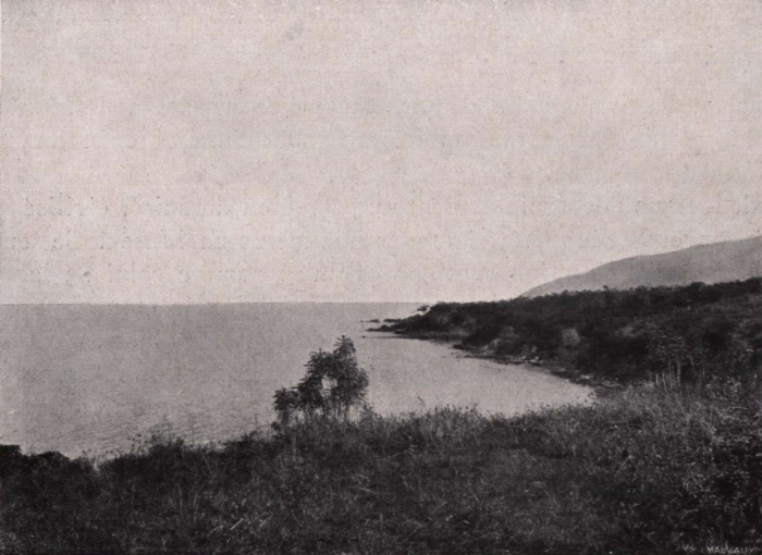 Gilson (1914, fig. 086)