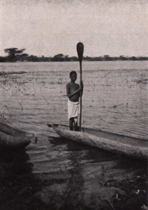 Gilson (1914, fig. 087)