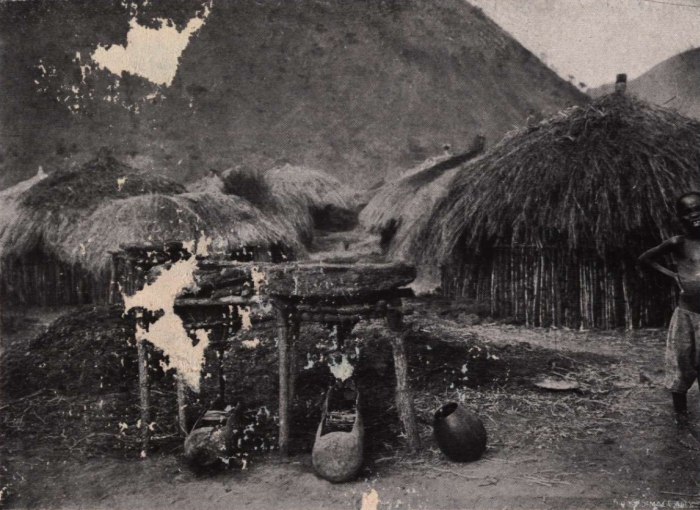 Gilson (1914, fig. 088)