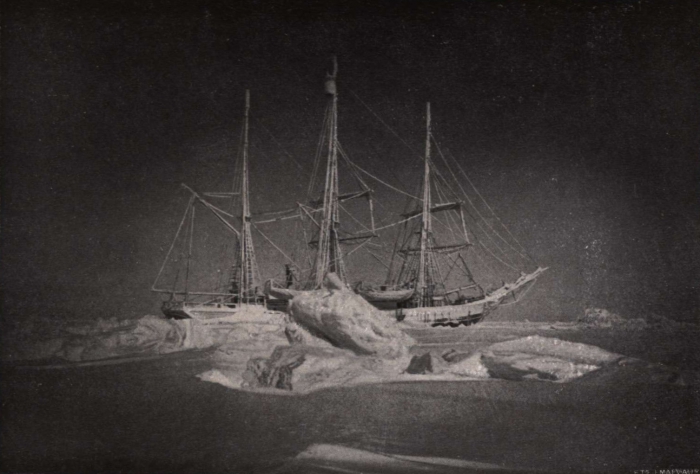 Gilson (1914, fig. 089)
