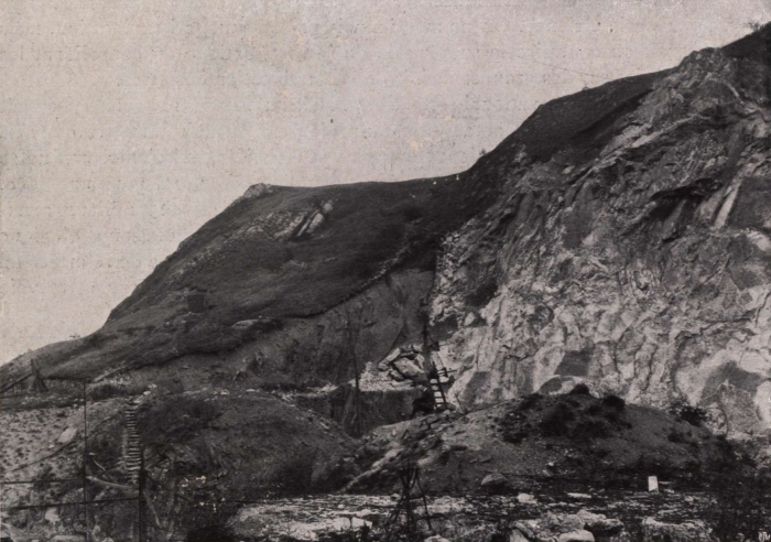 Gilson (1914, fig. 100)