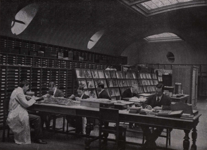 Gilson (1914, fig. 108)