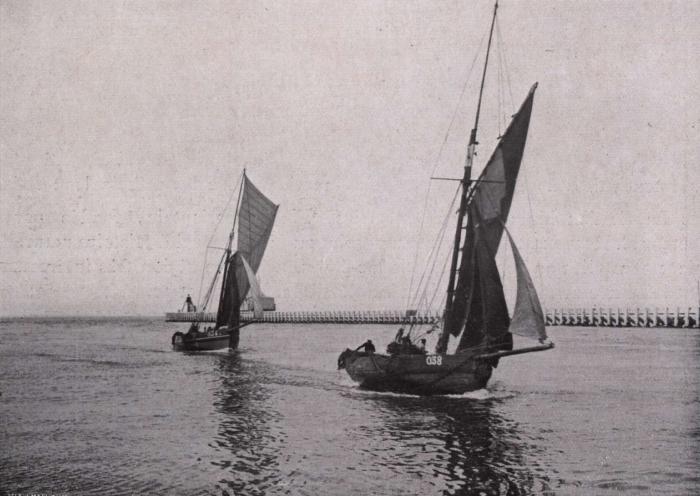 Gilson (1914, fig. 122)