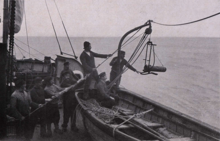 Gilson (1914, fig. 123)
