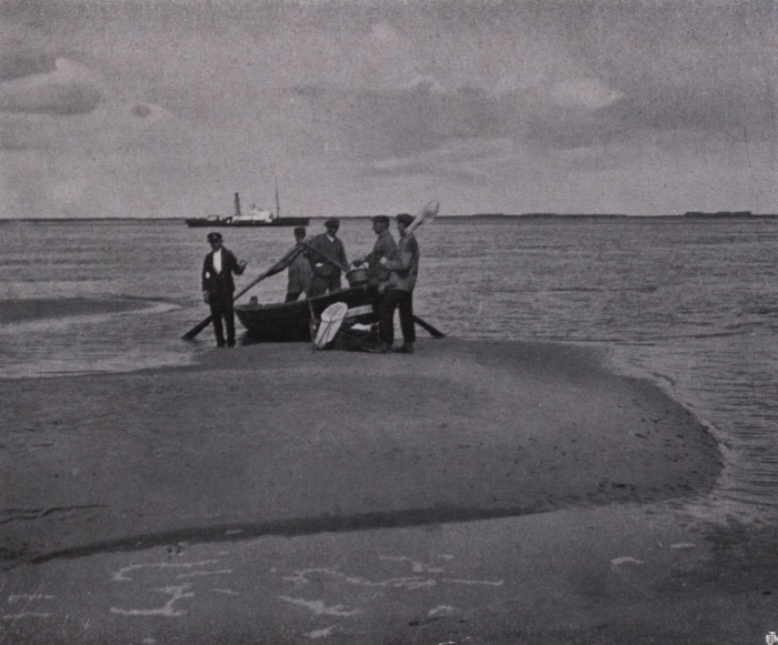 Gilson (1914, fig. 126)