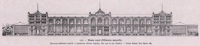 Gilson (1914, fig. 131)