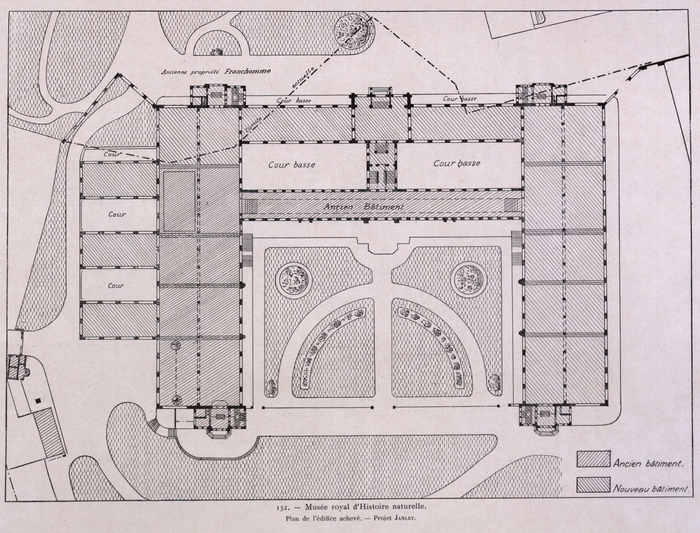 Gilson (1914, fig. 132)