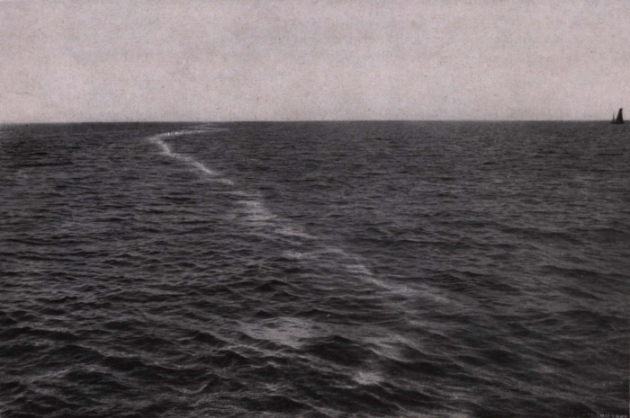 Gilson (1914, fig. 134)