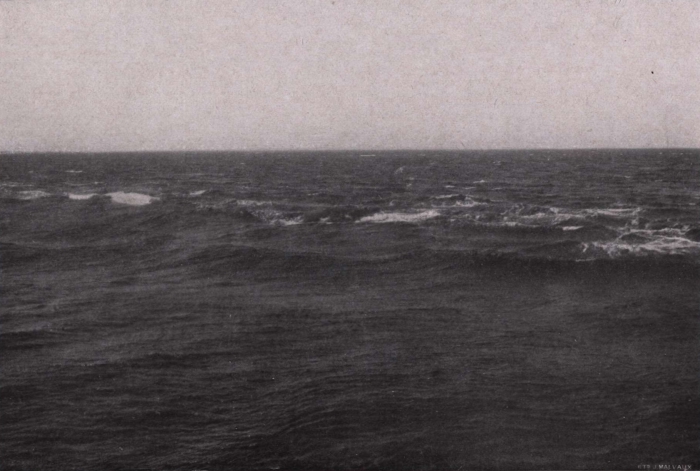 Gilson (1914, fig. 135)