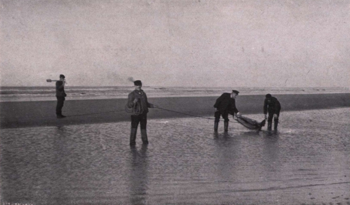 Gilson (1914, fig. 136)