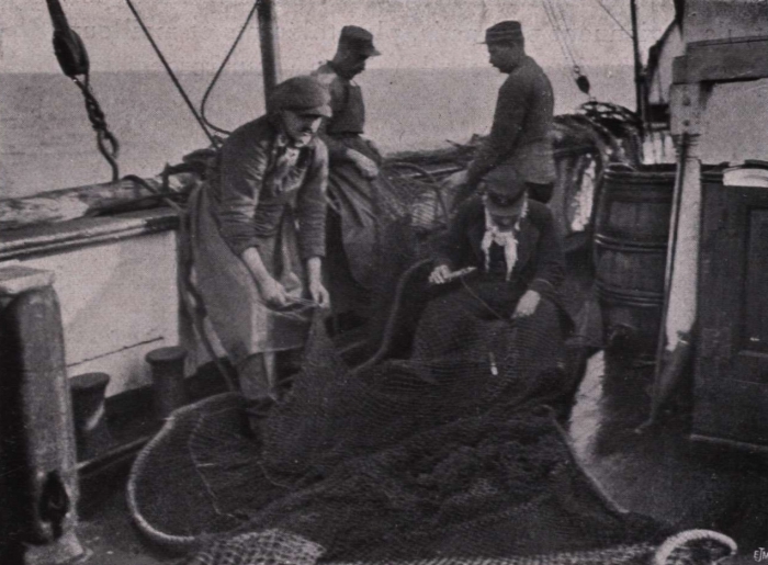 Gilson (1914, fig. 137)