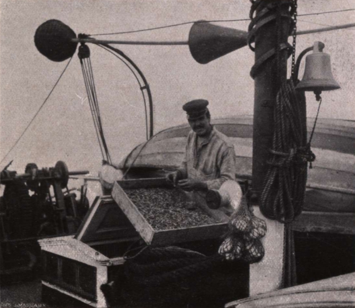 Gilson (1914, fig. 139)