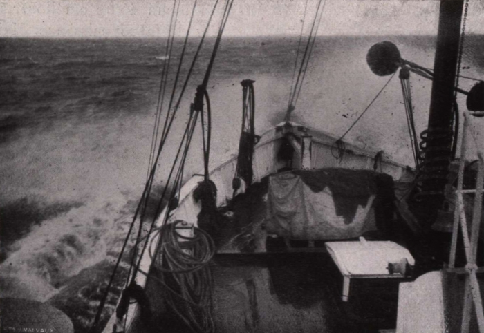 Gilson (1914, fig. 141)