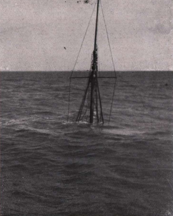 Gilson (1914, fig. 142)