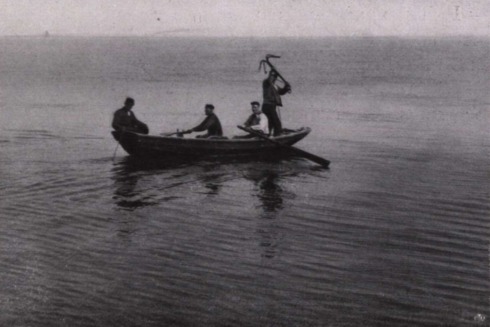 Gilson (1914, fig. 143)