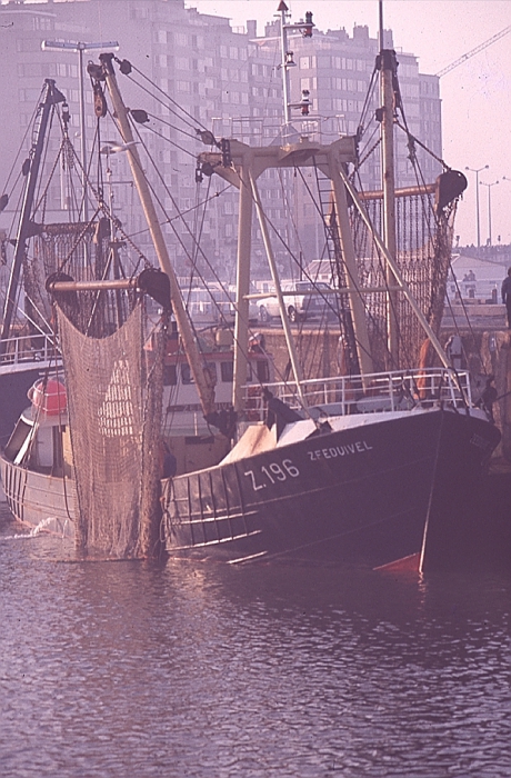 Z.196 Zeeduivel (Bouwjaar 1973)