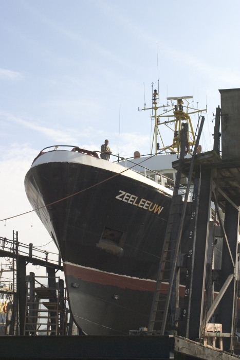 Onderhoud zeeleeuw