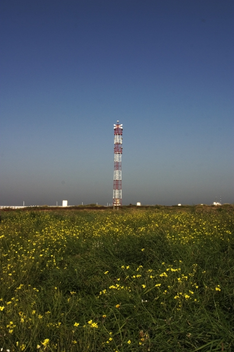 Mast