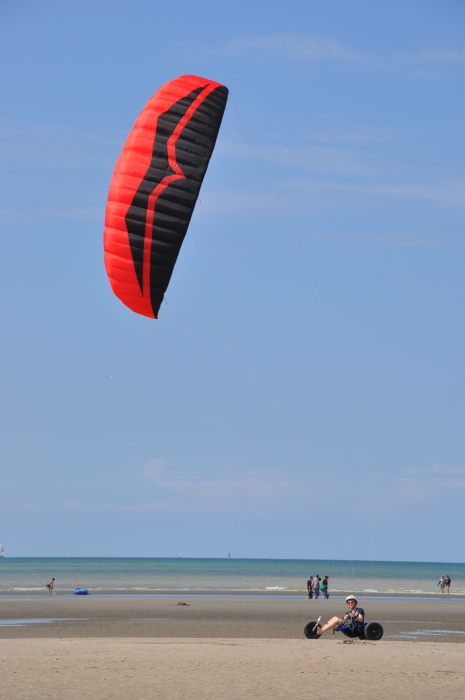 Strandkiten