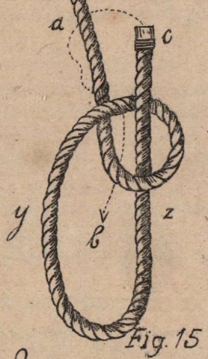De Jonghe (1912, fig. 15)