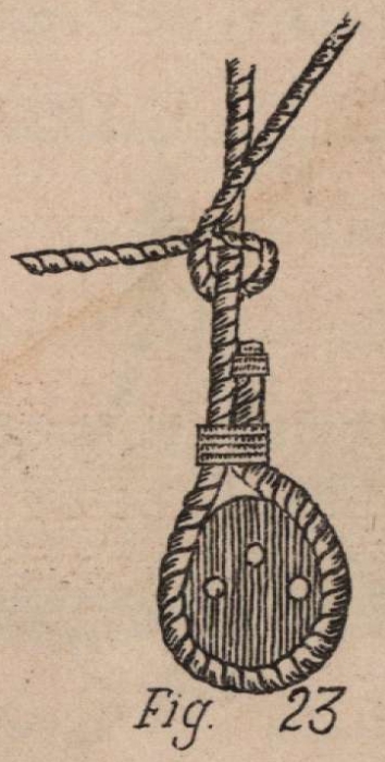 De Jonghe (1912, fig. 23)