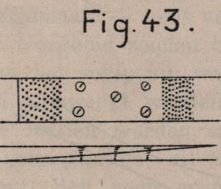 De Borger (1901, fig. 43)