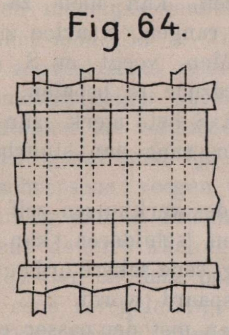 De Borger (1901, fig. 64)