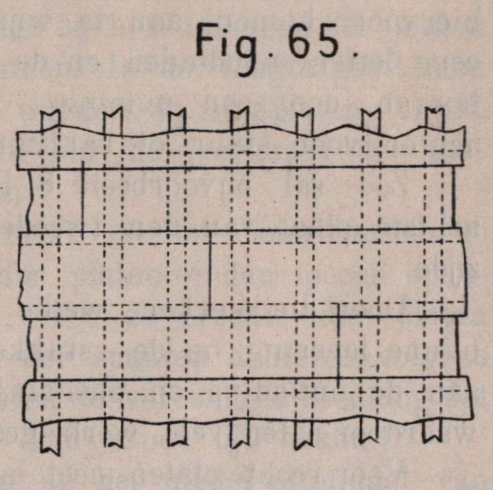 De Borger (1901, fig. 65)