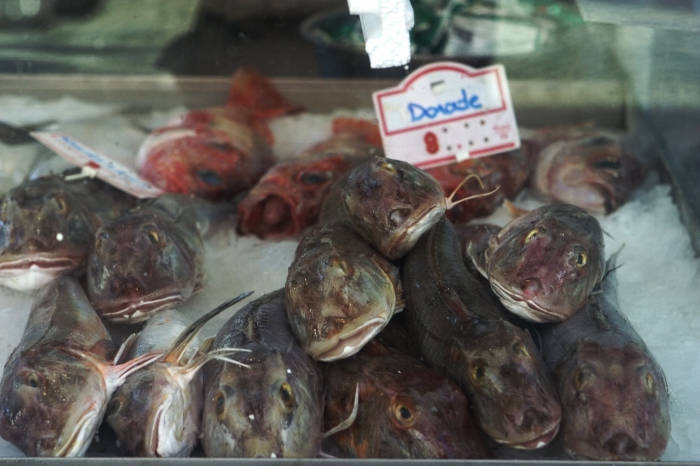 Poon en dorade