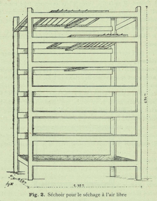 Henseval (1903, fig. 2)