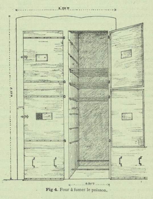 Henseval (1903, fig. 4)