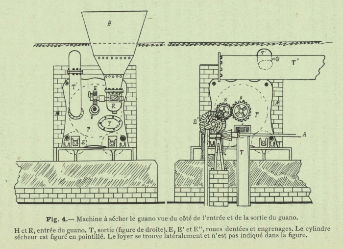 Henseval (1903, fig. 4)