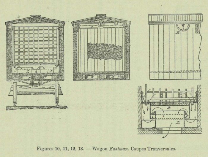 Huwart (1905, fig. 10, 11, 12, 13)