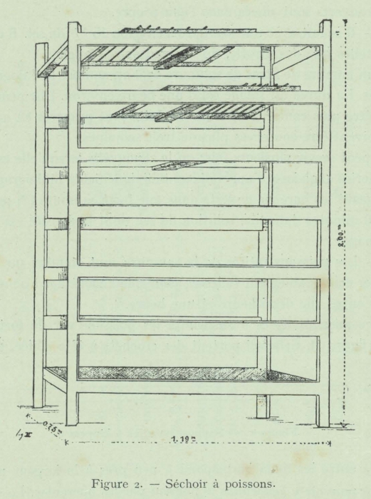 Huwart (1911, fig. 2)