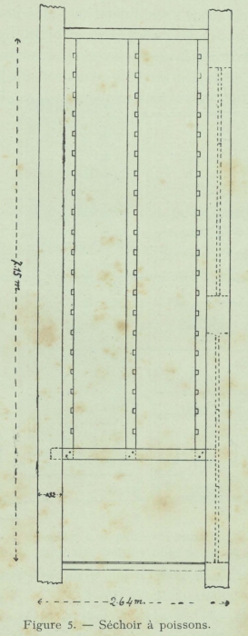 Huwart (1911, fig. 5)