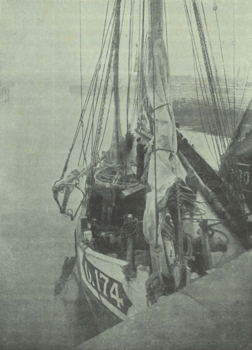 Gilson (1911, fig. 04)
