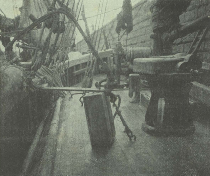Gilson (1911, fig. 05)