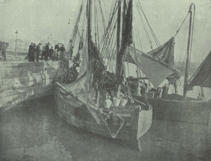 Gilson (1911, fig. 06)