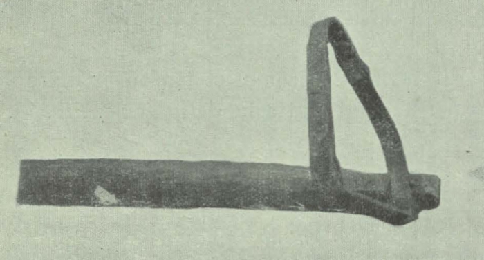 Gilson (1911, fig. 07)
