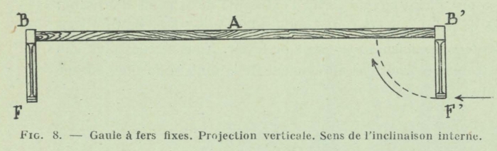 Gilson (1911, fig. 08)