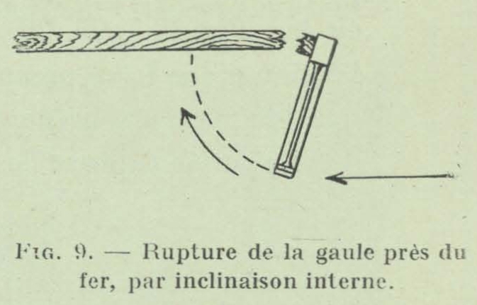 Gilson (1911, fig. 09)
