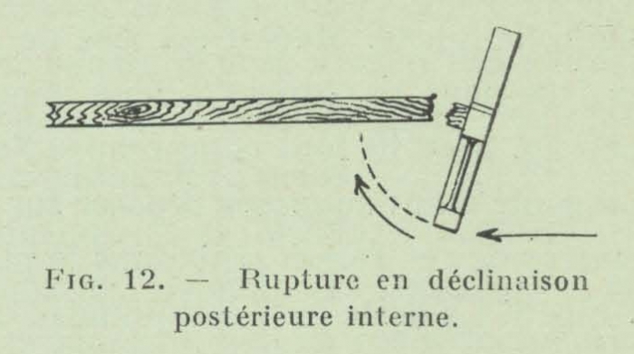 Gilson (1911, fig. 12)