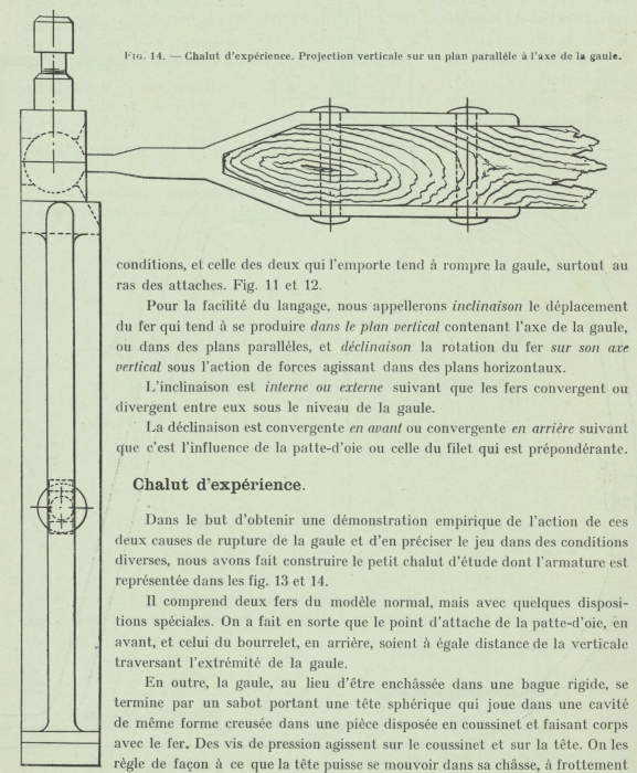 Gilson (1911, fig. 14)