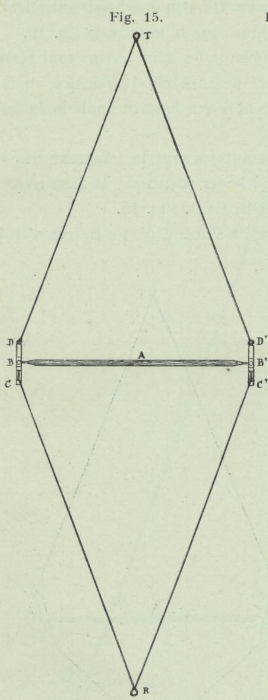 Gilson (1911, fig. 15)