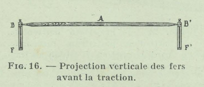 Gilson (1911, fig. 16)