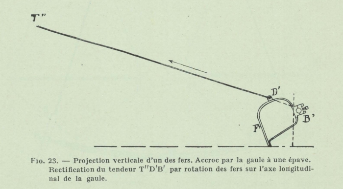 Gilson (1911, fig. 23)